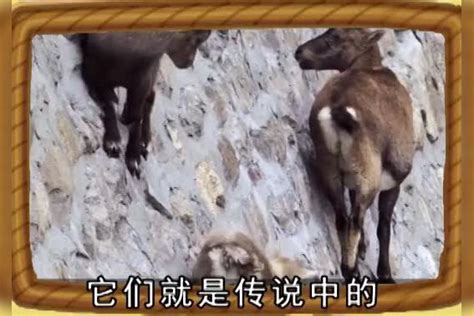 算命准的真实经历吓人,算命先生是怎么算命的?,第6张 算命准的真实经历吓人,算命先生是怎么算命的?,第6张